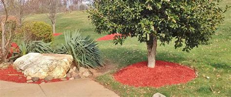 Rock Vs Mulch Which Is Best For Your Fall Ground Cover Jandc Lawn