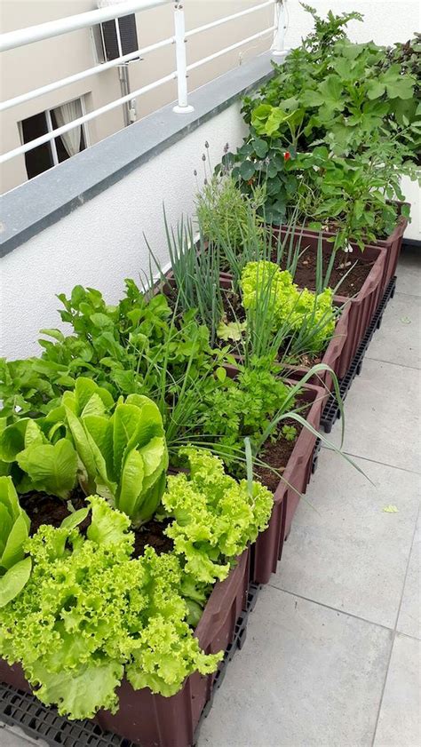 50 Inspiring Small Vegetable Garden Ideas 2 Gardenideazcom