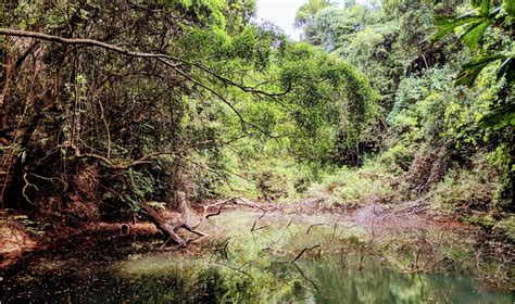 Keppel hill, off telok blangah road, has become a new place of exploration in singapore ever since the newspapers published the rediscovery of an abandoned reservoir by the national heritage board. Follow our hike to the abandoned Keppel Hill Reservoir ...