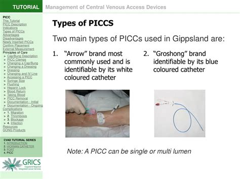 Groshong Catheter Vs Picc Line