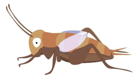 Theres A Cricket Emoji Coming To Your Phone Thanks In Part To