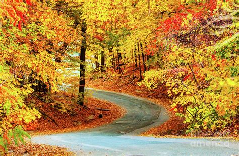 Autumn Forest Road Photograph By Charline Xia Fine Art America