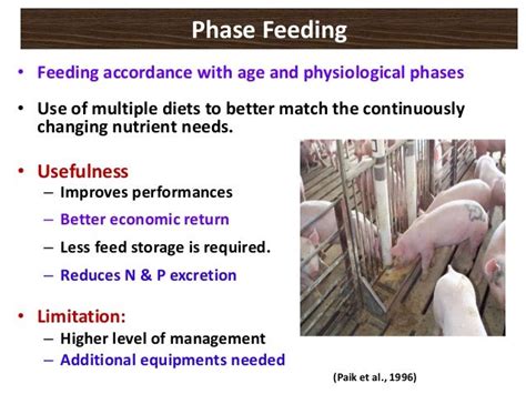 Precision Feeding In Livestock