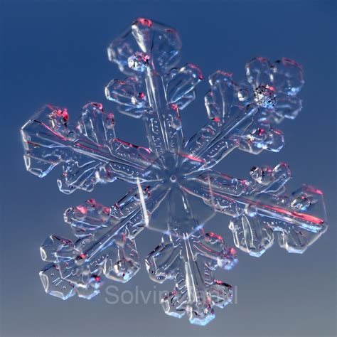 Snowflake Snow Crystal Photographs Schneeflocke Schneekristall