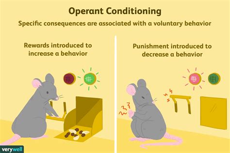 Operant Conditioning What It Is How It Works And Examples