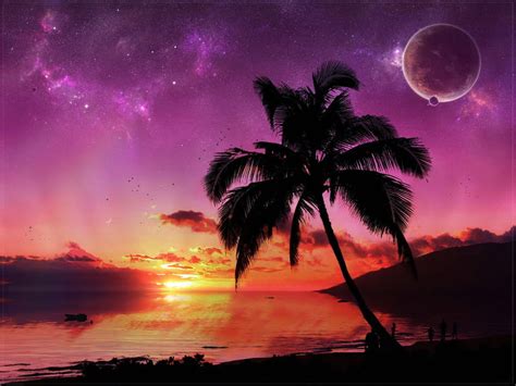 5120x2880px Free Download Hd Wallpaper Palm Tree And Moon Sunset