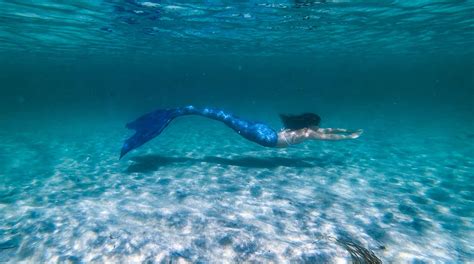Island Mermaid Appears On Bbc Documentary