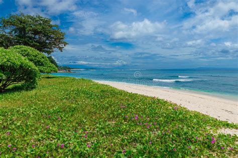 Best Beach In Bali Island Scenic Coastline With Blue Ocean Stock Image