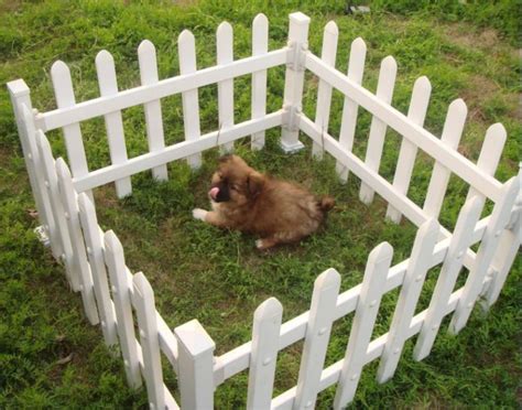 Backyard Fencing Ideas For Dogs 25 Best Cheap Backyard Fencing Ideas