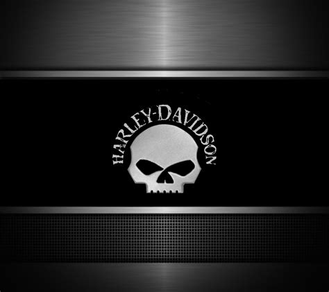 Harley Skull Logo Wallpaper