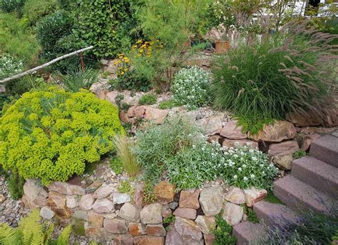 Ideas For Backyard Ground Cover