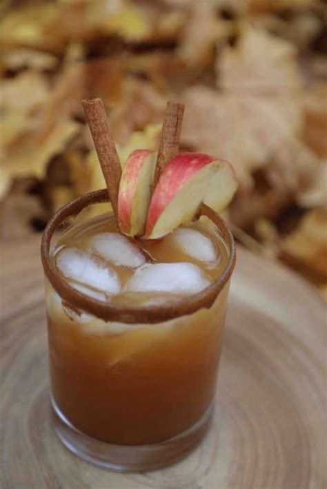 Spiced Apple Pie Cocktail Recipe Park Ranger John