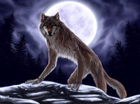 Werewolf Wallpapers Wallpaper Cave