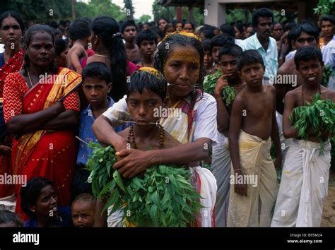 Sri Lanka South Asia Religion Hinduism Punnaccolai Festival Hindu Tamil