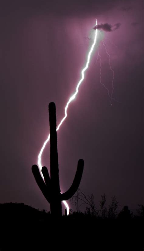 Saguaro Lightning Strike Lightning Photography Lightning Lightning