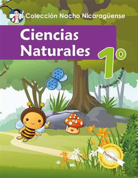 Porque Se Ensena Ciencias Naturales En La Escuela Primaria Como Ensenar