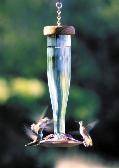 Best hummingbird feeder for windows. Lantern Hummingbird Feeder | Humming bird feeders, Glass ...