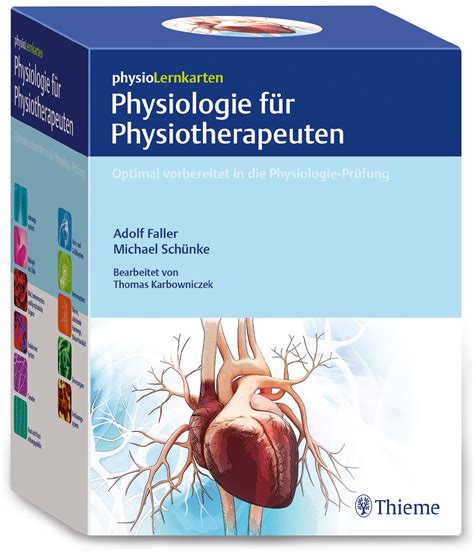 physioLernkarten  Physiologie für Physiotherapeuten  9783132420502
