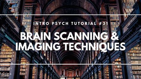 Brain Scanning And Imaging Techniques Intro Psych Tutorial 31 Youtube