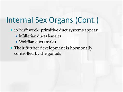 Ppt Chapter 4 Gender Development Gender Roles And Gender Identity