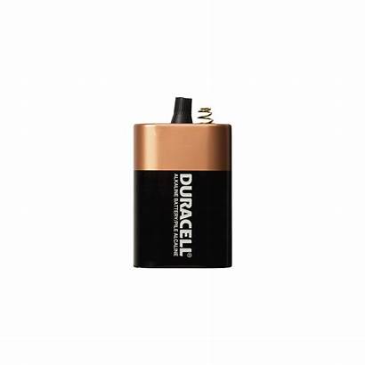 Coppertop Duracell 6v Batteries