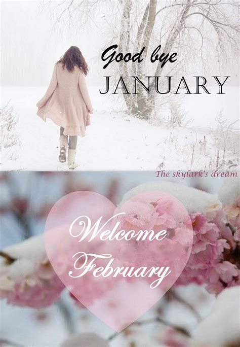 Welcome February Quotes Shortquotescc