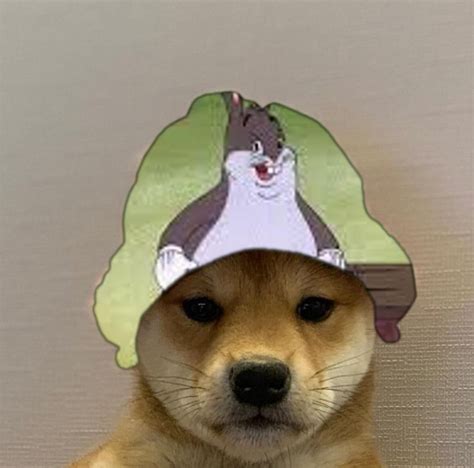 Big Chungus Dogwifhat Dogwifhat Dog Images Dog Projects Dog Memes