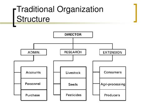 Traditional Organizational Structure