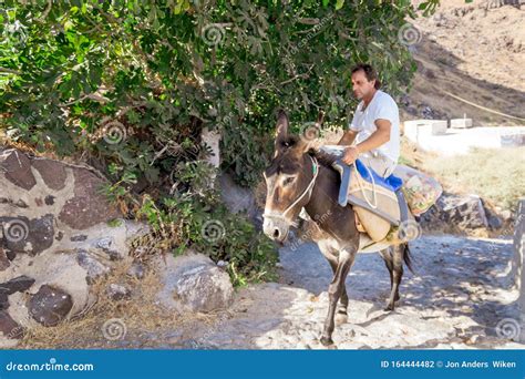 Man Riding Donkey Editorial Photography Image Of Cyclades 164444482