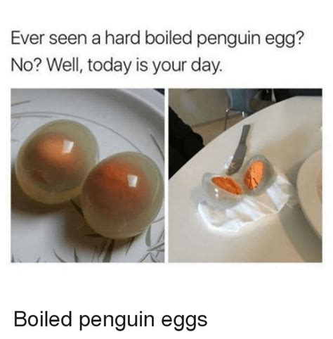 Ever Seen A Hard Boiled Penguin Egg No Well Today Is Your Day Boiled Penguin Eggs Meme On Meme