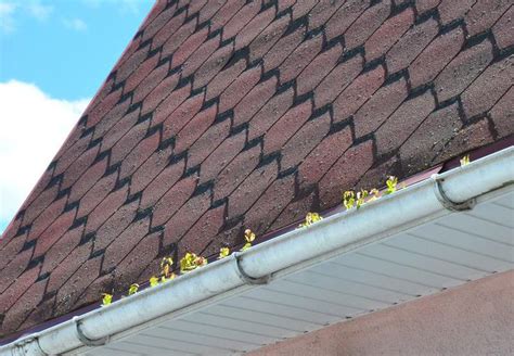 One frequent hangup with installing gutters is the condition of the fascia. How Much Does Gutter Installation Cost? This is What to Expect to Pay