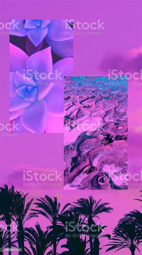 Fashion Aesthetic Moodboard Trendy Purple Vanilla Colours Minimal Beach