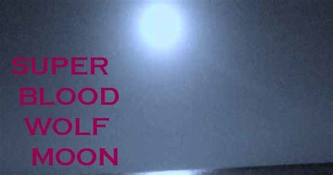 Matt Pausts Crime Time Super Blood Wolf Moon Poems