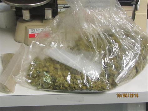 Sonora Pd Makes Drug Bust