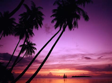 Paradise Sunset Wallpapers Top Free Paradise Sunset Backgrounds