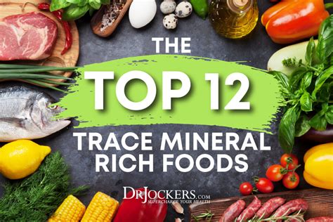 Top 12 Trace Mineral Rich Foods 2022