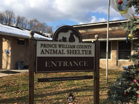 Prince William County Animal Shelter In Manassas Prince William