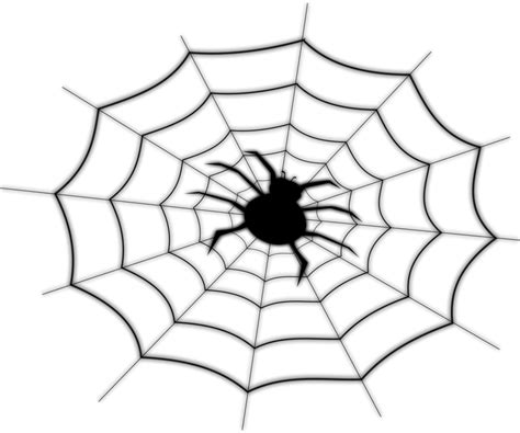 Spider Web Line Drawing Free Download On Clipartmag