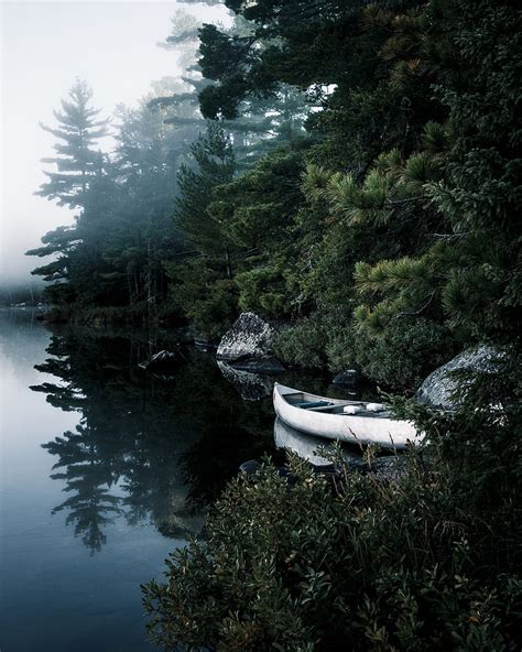 Boat Lake Spruce Branches Trees Hd Phone Wallpaper Peakpx