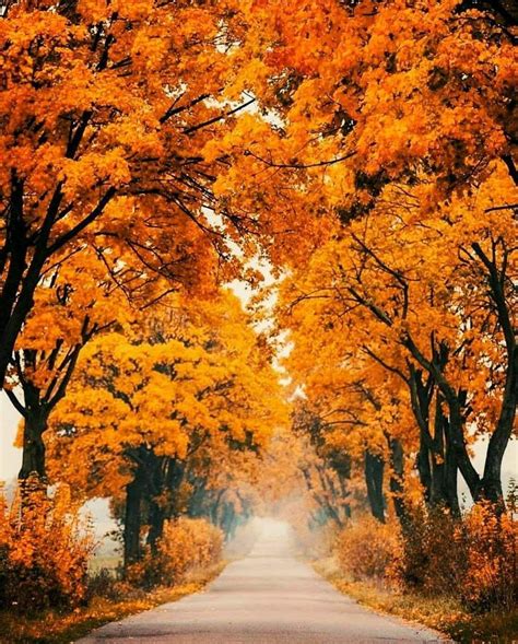 Pin By Becky Cagwin On Seasons Amazing Autumn Autumn Scenery