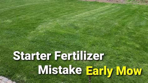 When Should You Spread Starter Fertilizer Spreading Starter