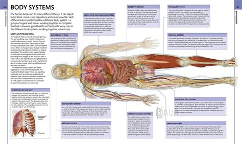 Книга The Definitive Visual Guide Human Anatomy Купить в Украине БАВА
