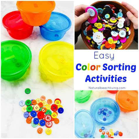Classifying Toys By Type And Color Sorting Worksheet