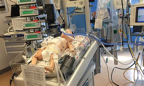 The Zamierowski Pediatric Critical Care And Resuscitation Pccr Apn