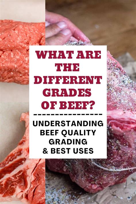 Grades Of Beef The USDA Beef Grading System Explained In 2023 Beef