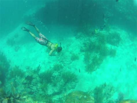 Great Time With Spirit Snorkeling Sombrero Reef Was Great Picture Of
