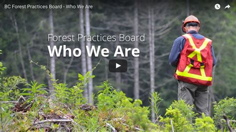 Who We Are Video The Bc Forestry Practices Board