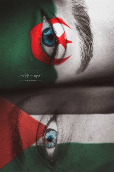 تغطية شاملة وحصرية لجميع الأخبار الرياضية العربية والعالمية والمحلية على مدار الساعة لحظة. صورة علم الجزائر وعلم فلسطين على الوجه خلفية للهواتف ...