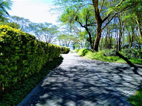 Kenya has achieved several milestones; Inside Kenya's BBI (Building Bridges Initiative) Report ...