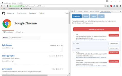 Asset Downloader Chrome Web Store